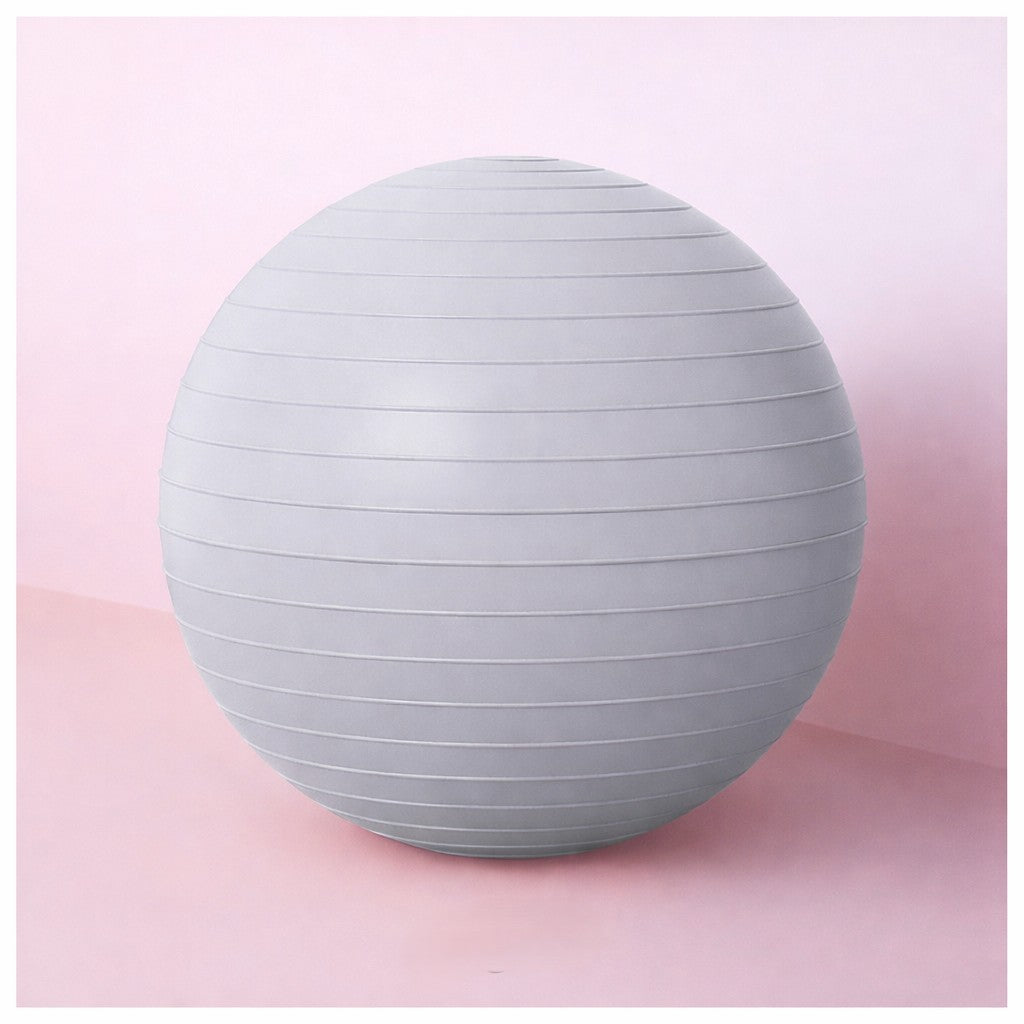 swiss ball_gris raye ballon gym